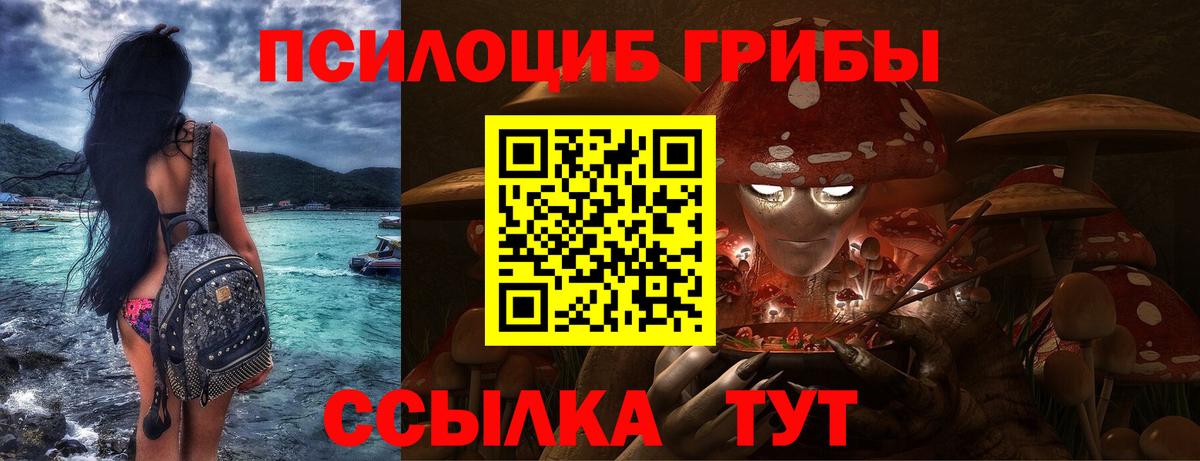 Санкт-Петербург  Псилоцибиновые грибы прущие грибы  Псилоцибиновые грибы мицелий  Вход с VPN 