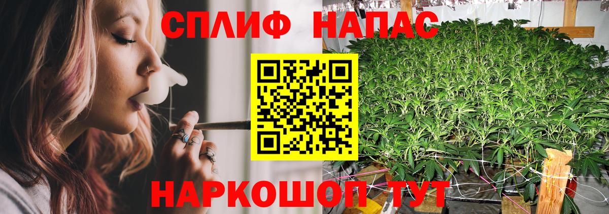 Шишки марихуана ГИДРОПОН  Бошки Шишки MAZAR  МАРИХУАНА семена  Санкт-Петербург  Каннабис конопля  Вход с VPN 